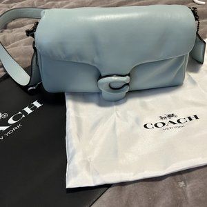 Blue Coach Pillow Tabby